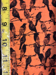 The Raven Orange - Michael Miller