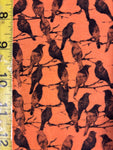 The Raven Orange - Michael Miller