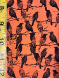The Raven Orange - Michael Miller