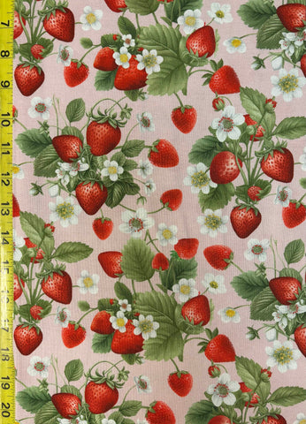 Strawberry Vines Timeless Treasures Cotton Fabric 